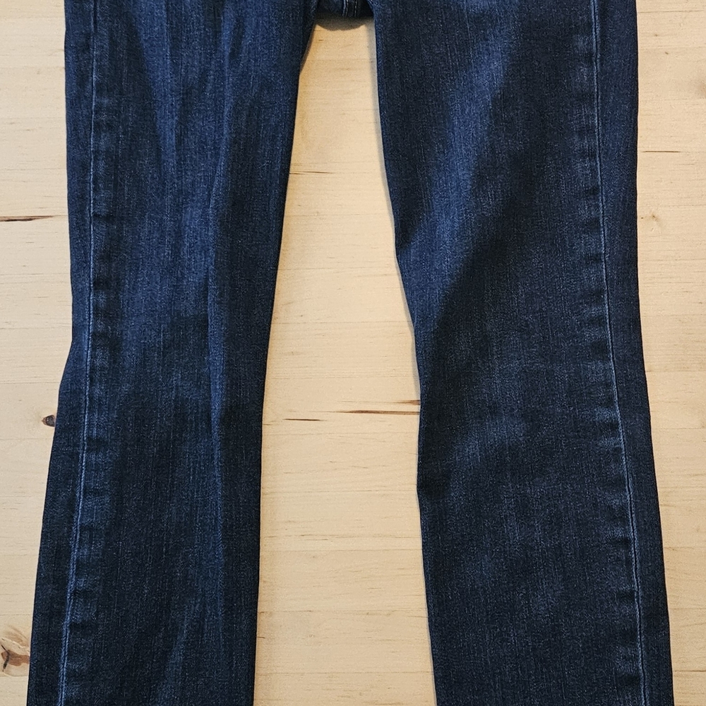 GAP Indigo Blue Always Skinny 1969 Denim Jeans 27 Leg